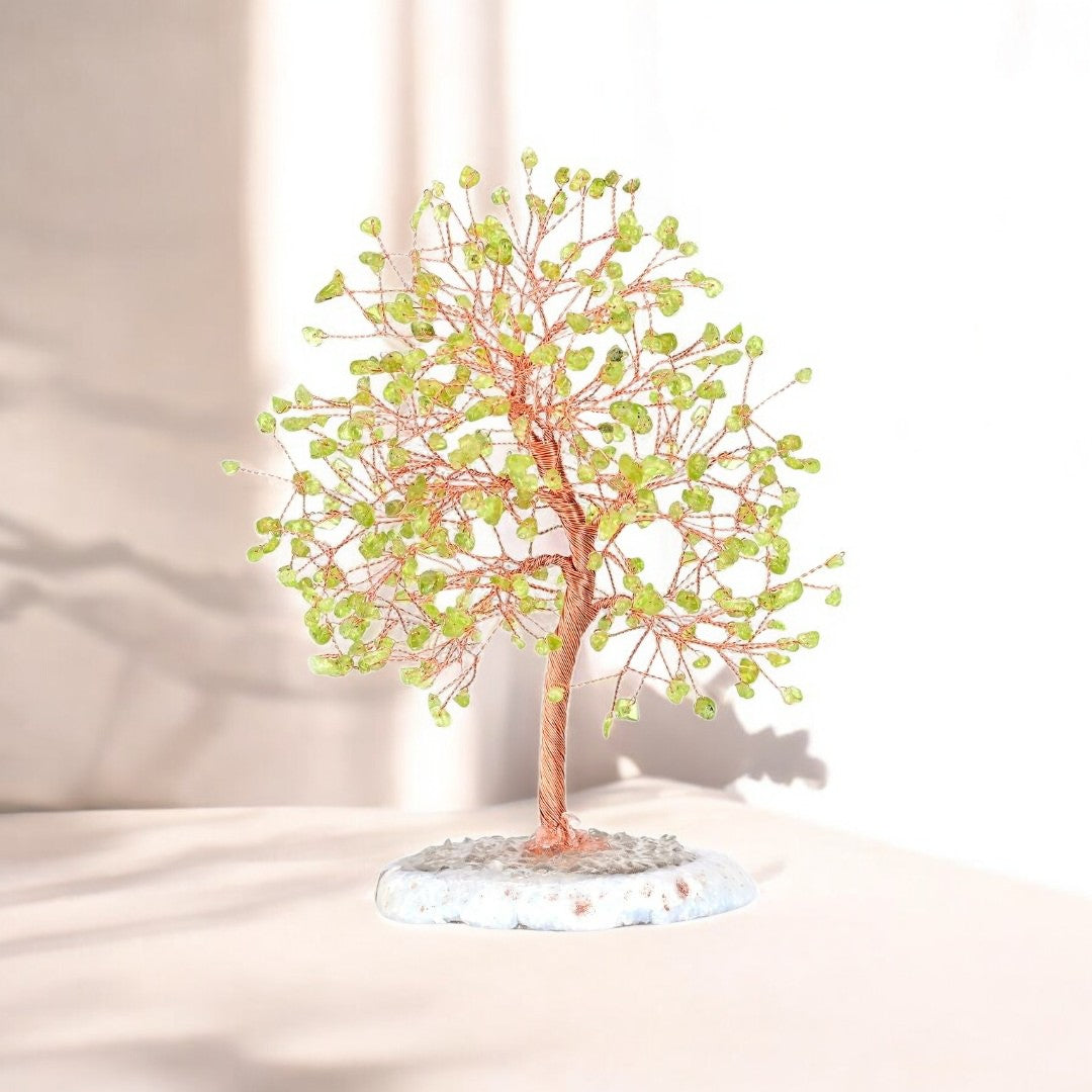 Olivina Albero della Vita